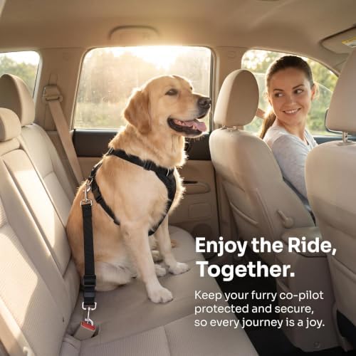 BLMHTWO 4PCS Adjustable Dog Seat Belt - Image 3