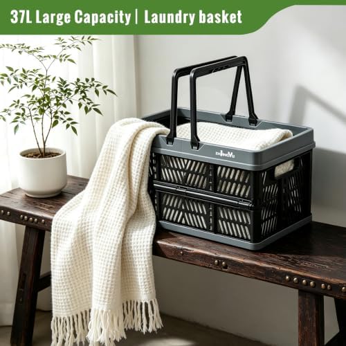 Pack-2 Black Plastic Baskets - Image 3