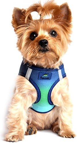 Doggie Design No Choke Dog Harness by DoggieDesign