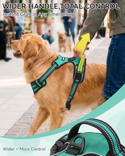 Joytale No Pull Dog Harness & Seat Belt, Easy On 3-Buckle - Image 5