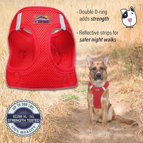Doggie Design Dog Harness - Image 4