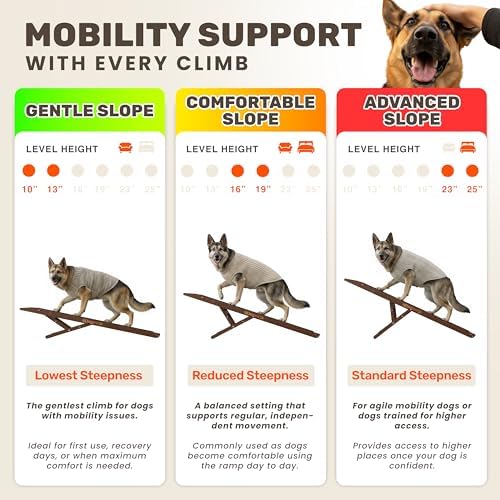 Foldable Dog Ramp for Couch - Image 3