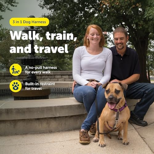 PetSafe Easy Walk 3 in 1 No Pull Dog Harness - Image 2