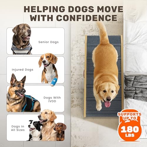 Foldable Dog Ramp for Couch - Image 6