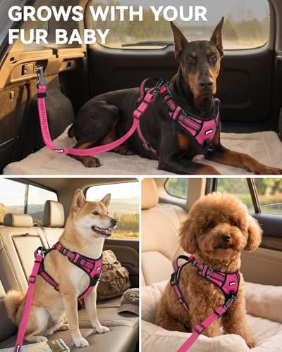 Joytale 3-in-1 Bungee Dog Seat Belt - Image 6