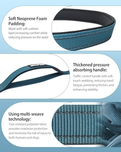 Hands Free Dog Leash - Image 4