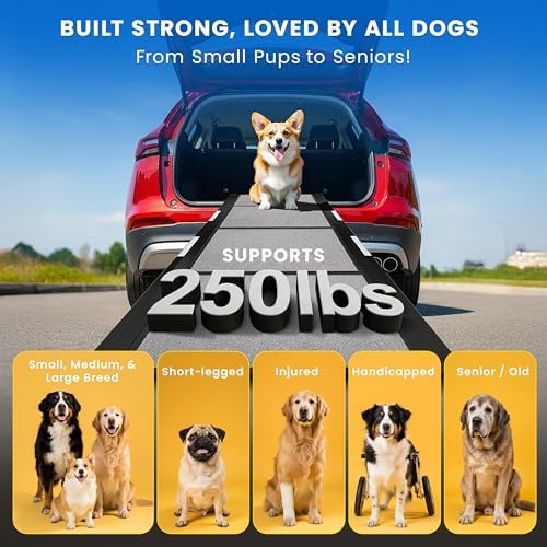 Dog Ramp for Car - Image 5
