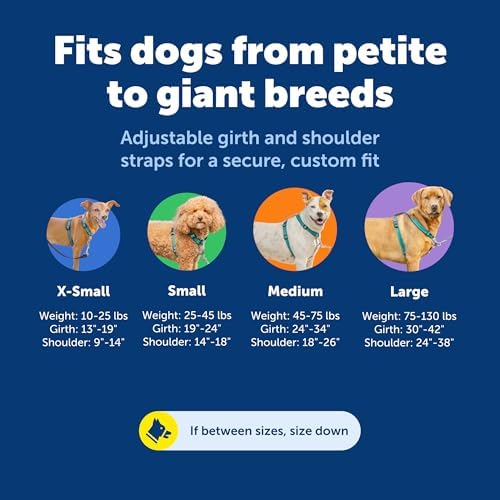 PetSafe Easy Walk 3 in 1 No Pull Dog Harness, Extra Small - Image 6