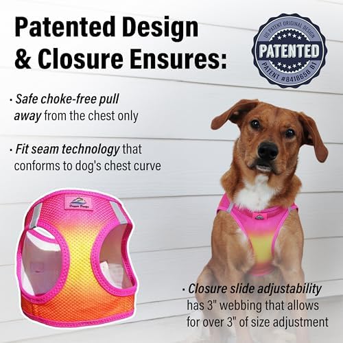 Doggie Design Dog Harness - Image 2
