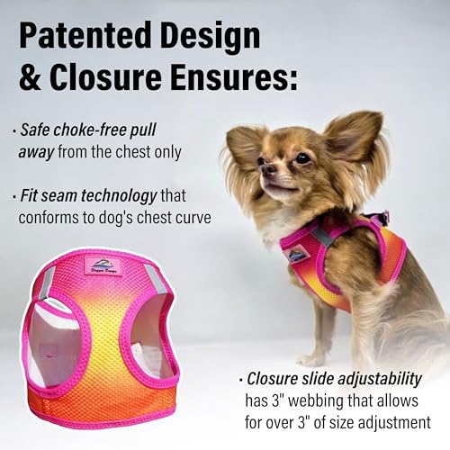 Doggie Design Dog Harness - Image 3
