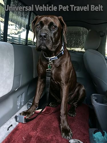 MAGIKON Dog Seat Belt 3-Pack, Adjustable Heavy-Duty Nylon Car Harness - Image 3
