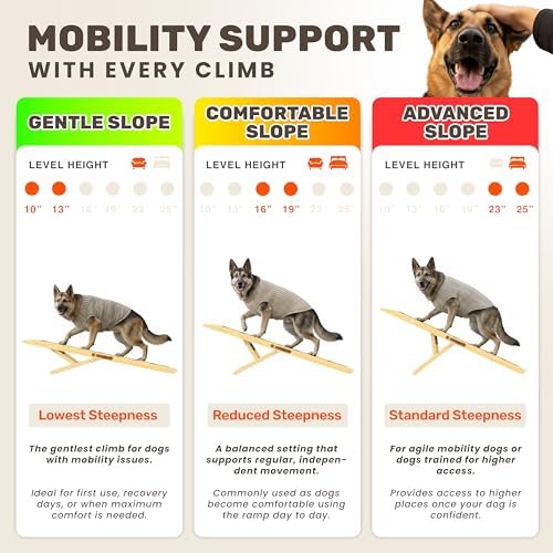 Foldable Dog Ramp for Couch - Image 3