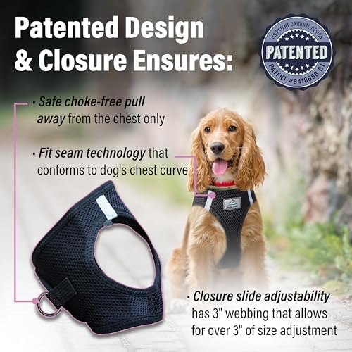 Doggie Design Dog Harness - Image 3