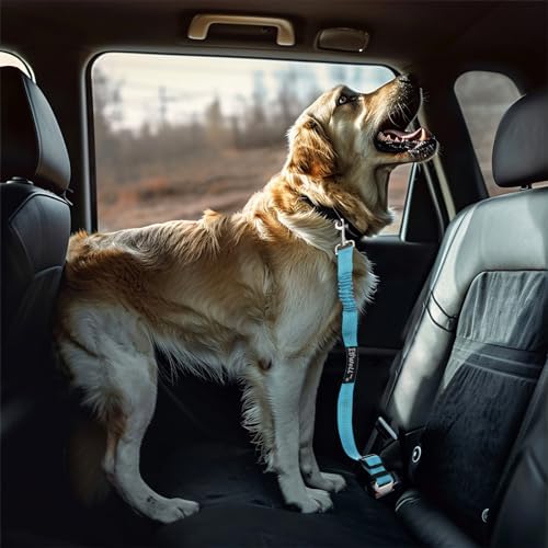 IBWell Dog Seat Belt with Elastic Bungee Leash, Car Seat Belt - Image 5