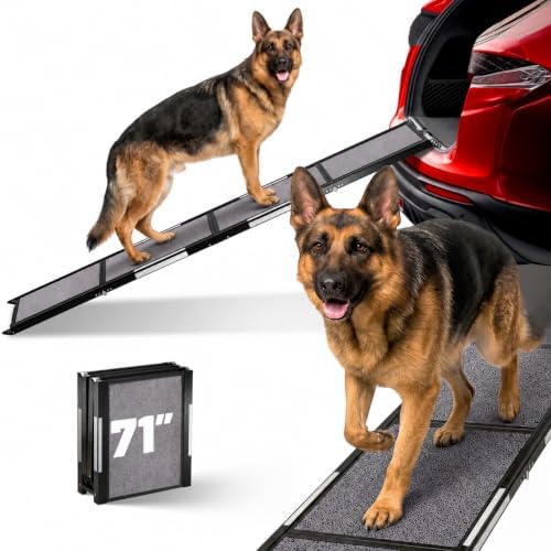 Dog Ramp for Car by PHATOSIOPETS