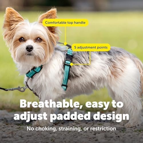 PetSafe Easy Walk 3 in 1 No Pull Dog Harness, Extra Small - Image 5
