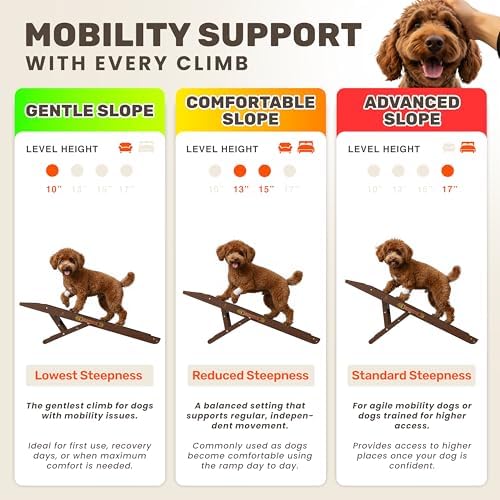 Foldable Dog Ramp for Couch - Image 3