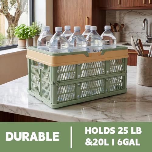 VALESKA Collapsible Crate 20L, Foldable Plastic Milk Crates - Image 3