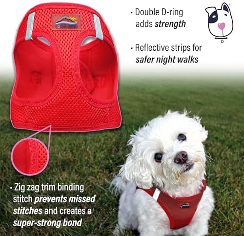 Doggie Design Dog Harness - Image 4