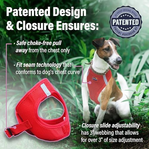 Doggie Design Dog Harness - Image 3