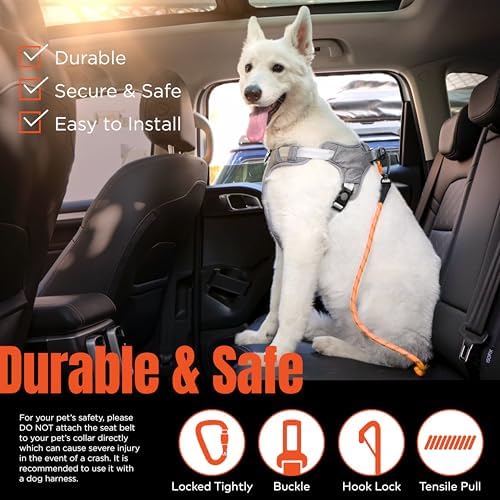 Dog Seat Belt for Car | Universal Pet Car Seatbelt - Image 2