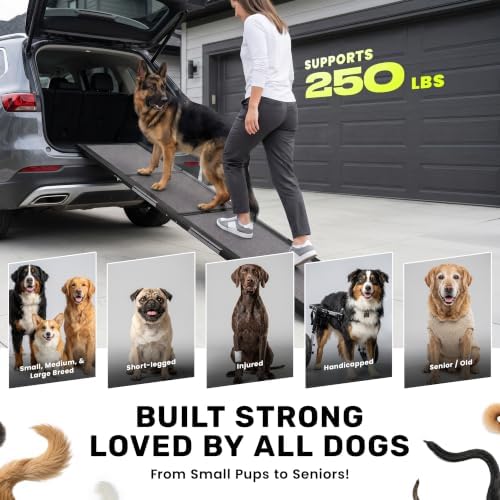Dog Ramp for Car - Image 3
