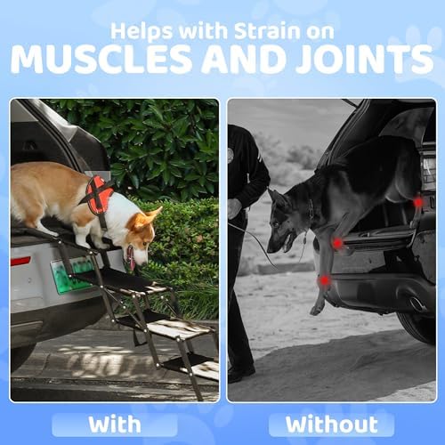 Dog Car Stairs – Portable Non-Slip Pet Stairs - Image 3