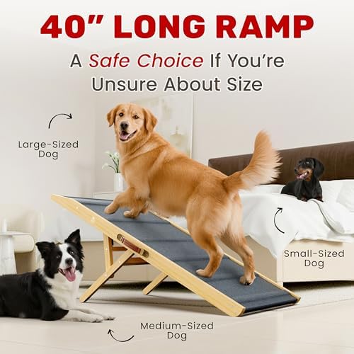 Foldable Dog Ramp for Couch - Image 2