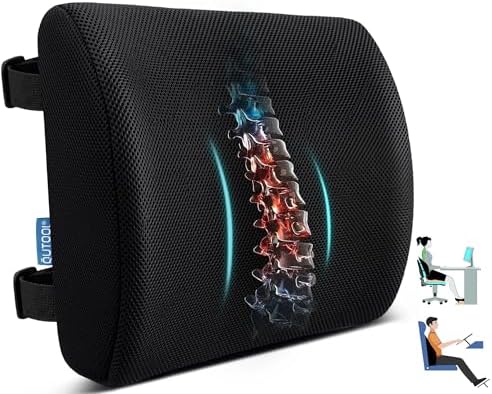 Lumbar Support Pillow for Office Chair, Office Home Essentials, Gifts for Mom by QUTOOL