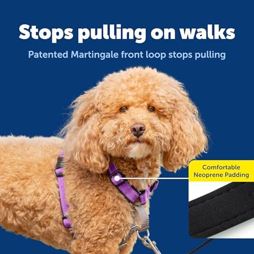 PetSafe 3 in 1 Dog Harness - Image 3