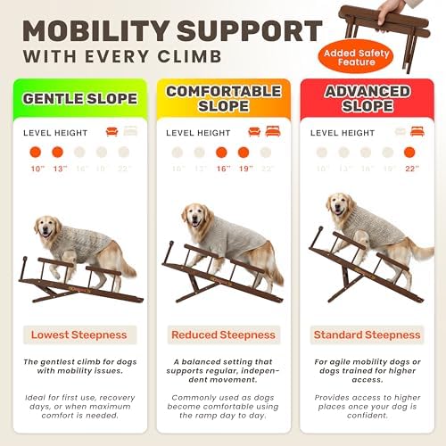 Foldable Dog Ramp for Couch - Image 3