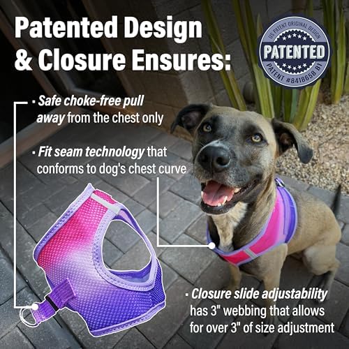 Doggie Design Dog Harness - Image 2