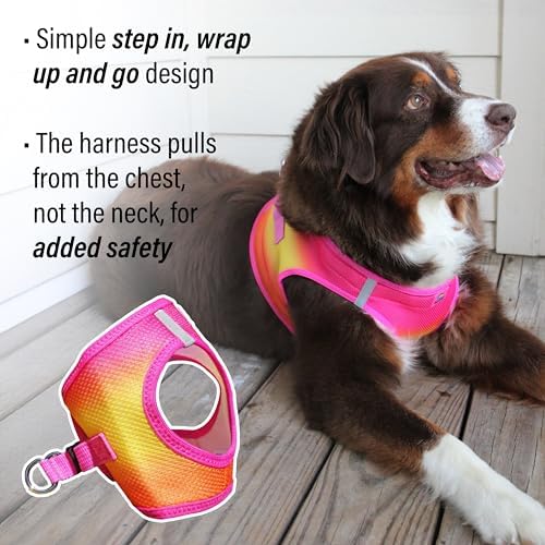 Doggie Design Dog Harness - Image 5