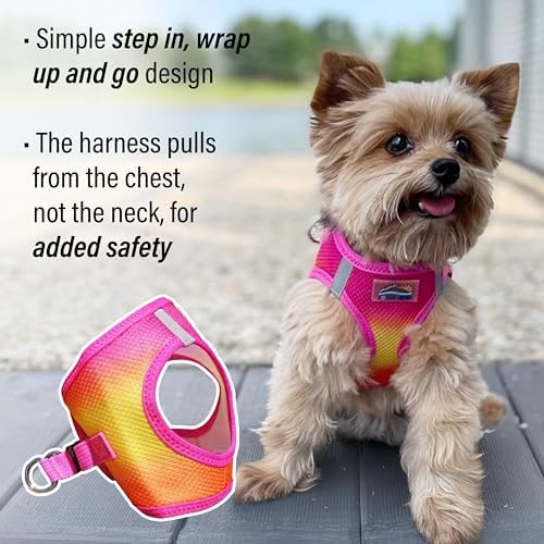 Doggie Design Dog Harness - Image 4