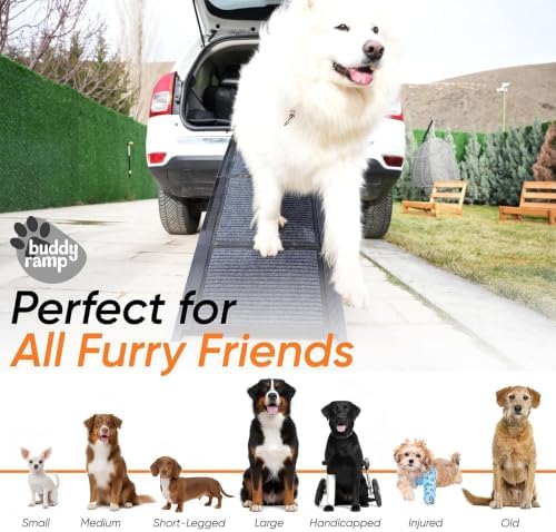 Dog Ramp for Car & Back Seat Cover Bundle - Image 2