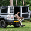 Pindex Folding Dog Ramp 2" Hitch Receiver Step Dog Stairs by Pindex