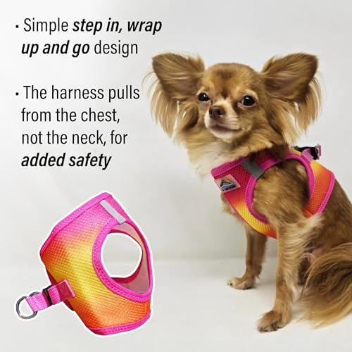 Doggie Design Dog Harness - Image 5