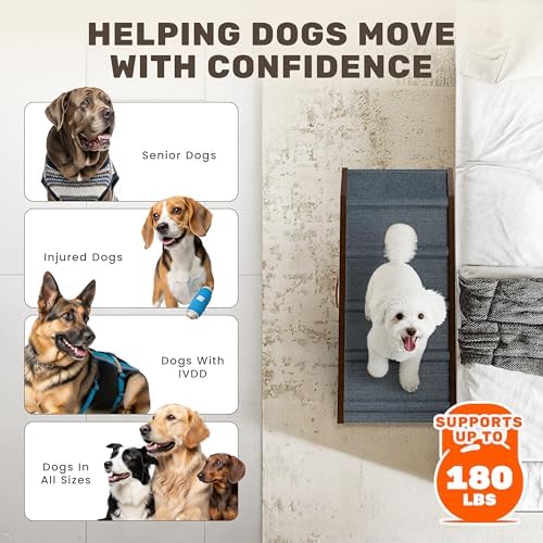 Foldable Dog Ramp for Couch - Image 6