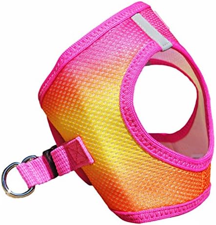 Doggie Design Dog Harness - Image 4