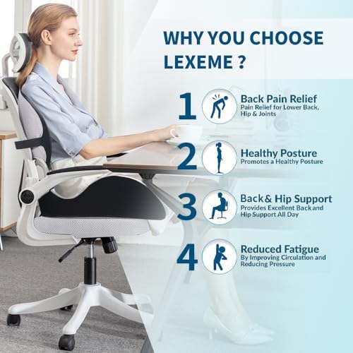 Lexeme X Large Memory Foam Seat Cushion Lumbar Support Pillow - Image 2