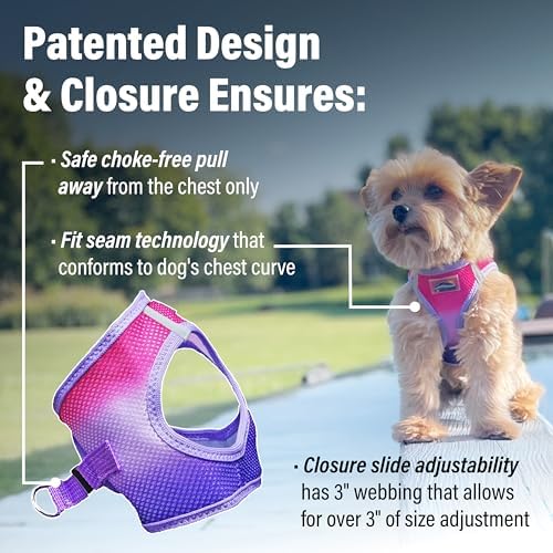 Doggie Design Dog Harness - Image 2
