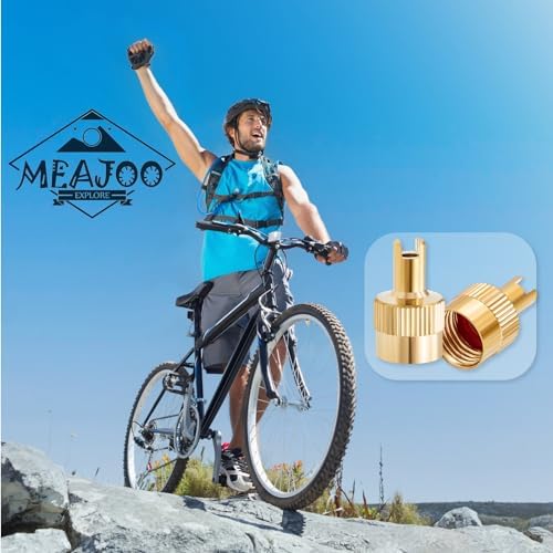 20PCS Tire Valve Stem Caps, Nickel Brass Slotted Slot Valve Stem Caps - Image 5