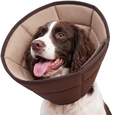 Allroaring Breathable Recovery Cone by Allroaring