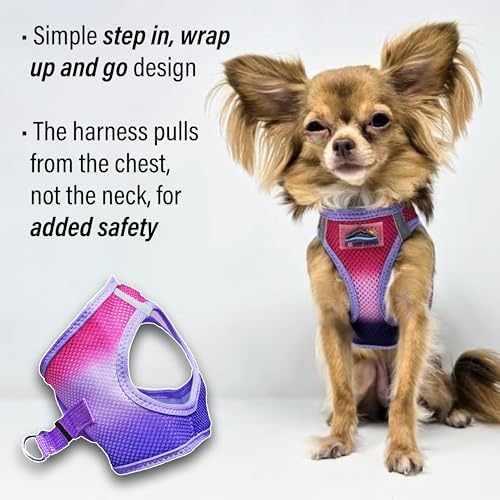 American River Choke-Free Dog Harness - Image 4