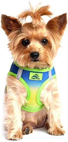 American River Dog Harness Ombre Collection - Image 3