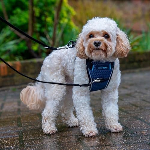 Carsafe Crash Tested Dog Harness Blue X Small - Image 3