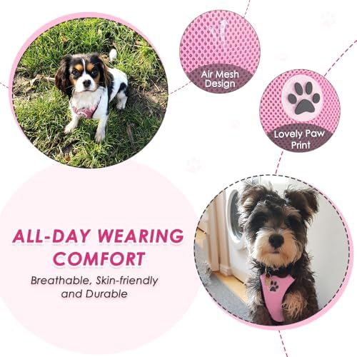 Lukovee Dog Car Harness Seat Belt, Harness & Seatbelt - Image 3