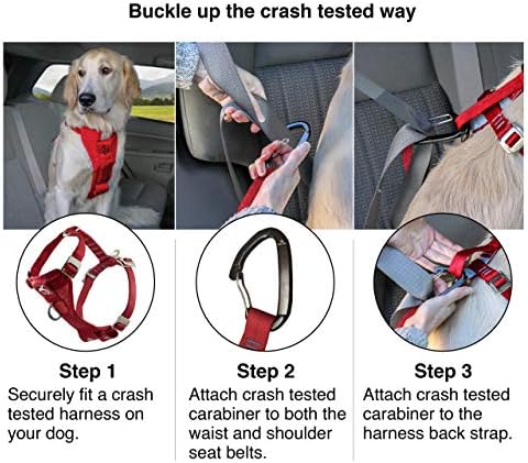 Kurgo Enhanced Strength Tru-Fit Smart Harness - Image 4