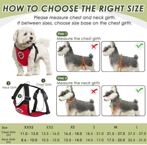 SlowTon Dog Seat Belt with Harness - Image 5