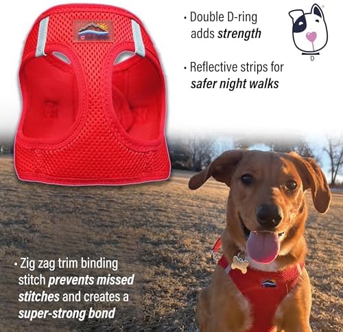Doggie Design Dog Harness - Image 4